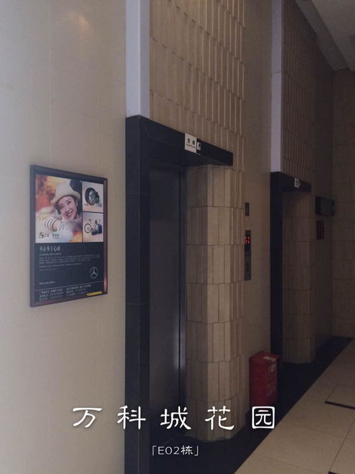 广州楼宇电梯广告公司专业服务与市场分析